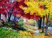 Colorful Nature_16801583