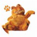 Garfield7.jpg