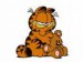 Garfield22.jpg