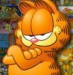 Garfield33.jpg
